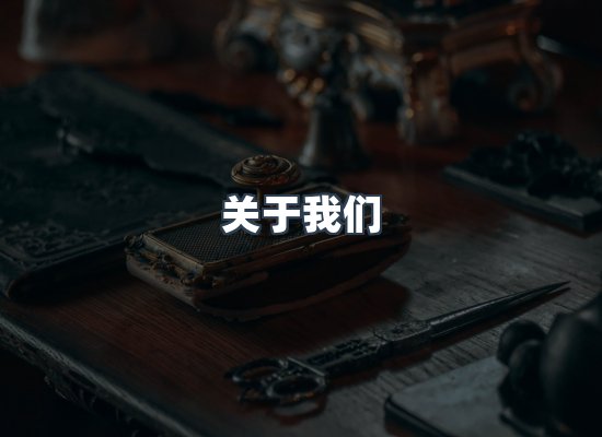 专业团队
